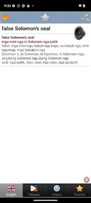 Cebuano best dict android App screenshot 9